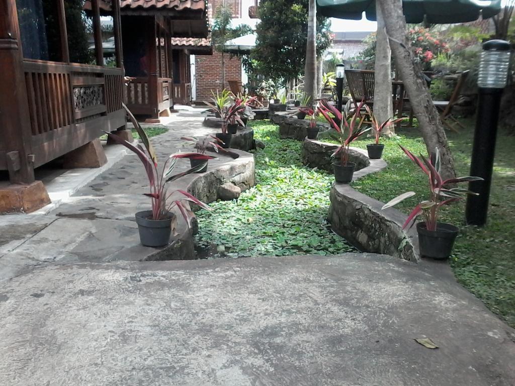 Hawadesa & *